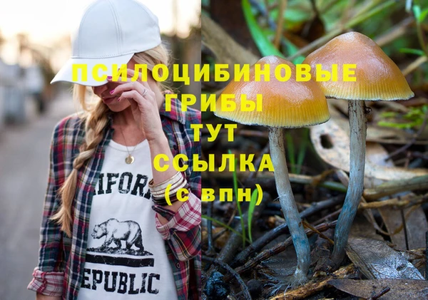 экстази Арсеньев