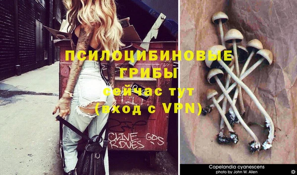 кокаин Аркадак