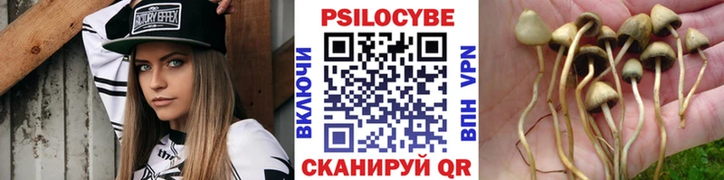 Галлюциногенные грибы Cubensis  купить наркотики сайты  Ленинградская 